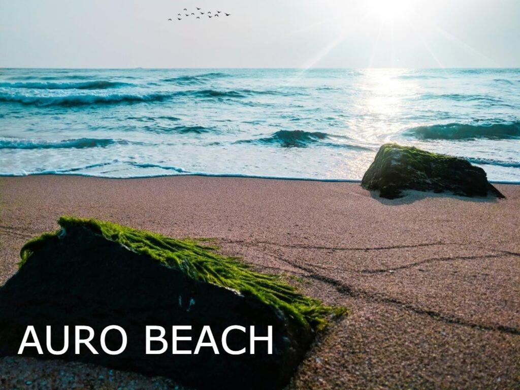 Pv Cottages Serenity Beach 퐁디셰리 외부 사진